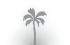 palm tree icon