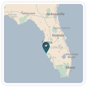 Siesta Key, FL mini map